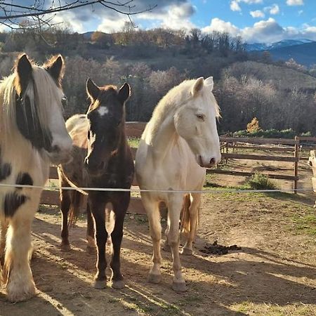 Chambre D'Hotes Le Petit Ranch Los Masos Dış mekan fotoğraf