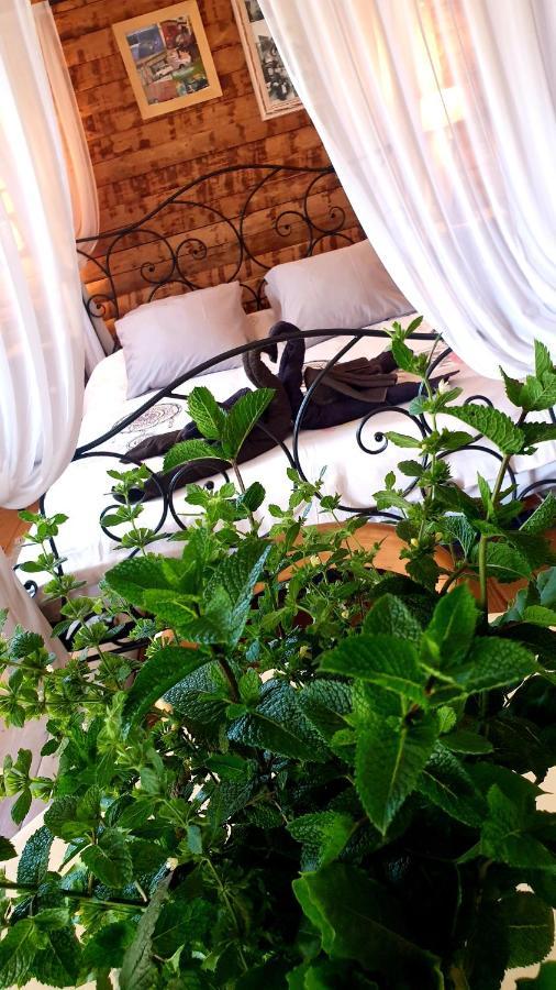 Chambre D'Hotes Le Petit Ranch Los Masos Dış mekan fotoğraf