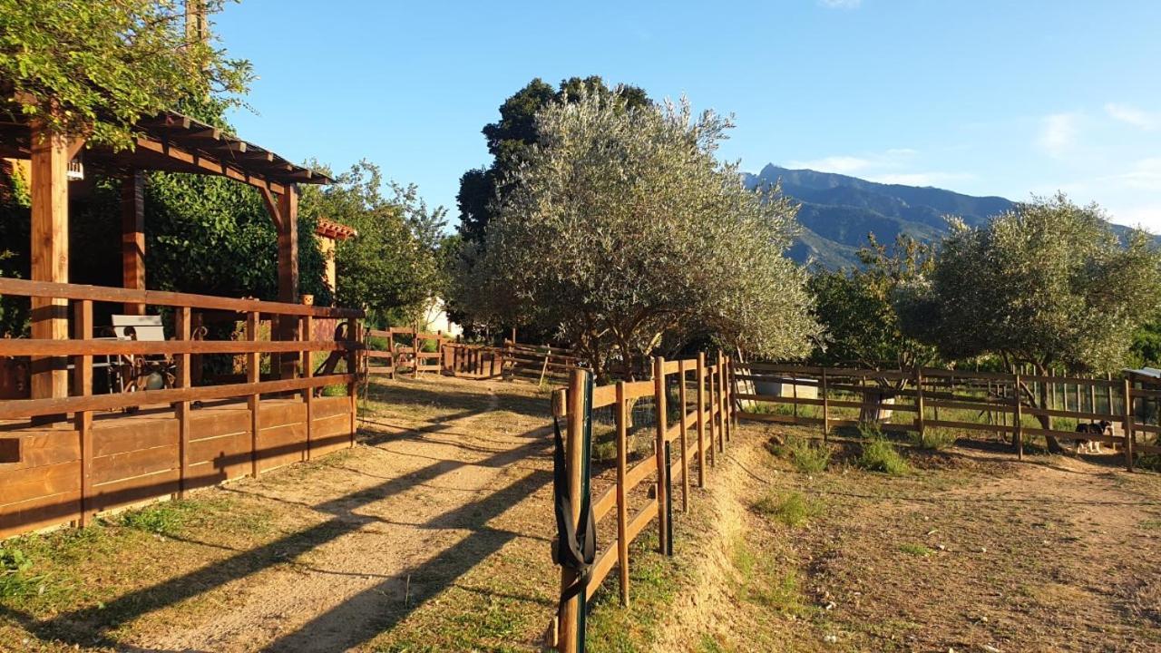 Chambre D'Hotes Le Petit Ranch Los Masos Dış mekan fotoğraf