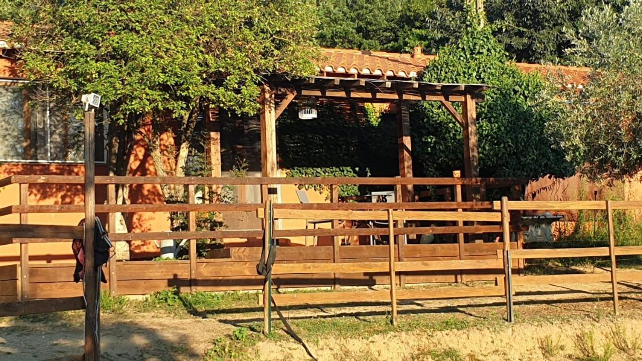 Chambre D'Hotes Le Petit Ranch Los Masos Dış mekan fotoğraf