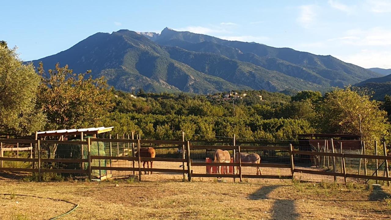 Chambre D'Hotes Le Petit Ranch Los Masos Dış mekan fotoğraf