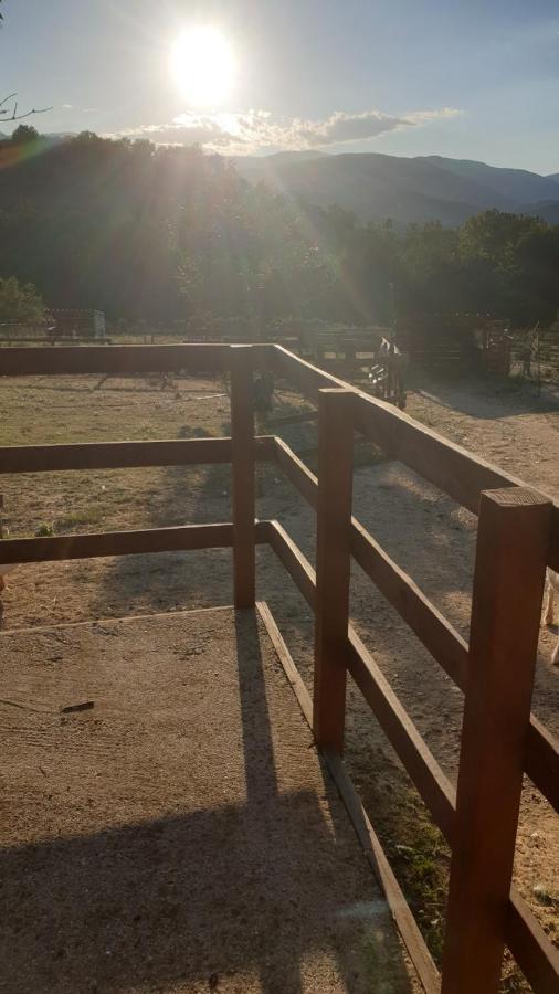 Chambre D'Hotes Le Petit Ranch Los Masos Dış mekan fotoğraf