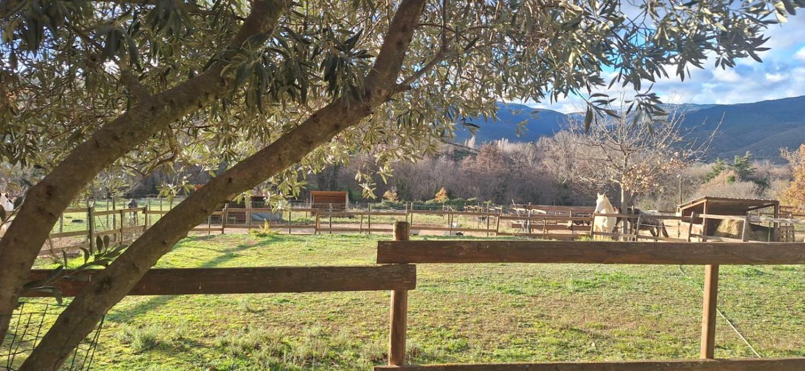 Chambre D'Hotes Le Petit Ranch Los Masos Dış mekan fotoğraf